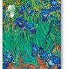 2023 Van Goghs Schwertlilien Mini 12M. Verso