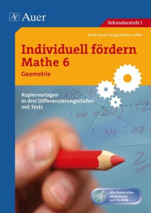 Individuell fördern Mathe 6 Geometrie