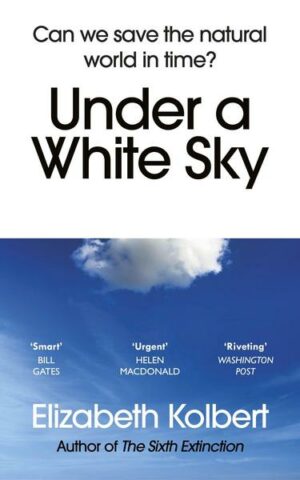 Under a White Sky