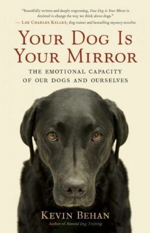 Your Dog is Your Mirror