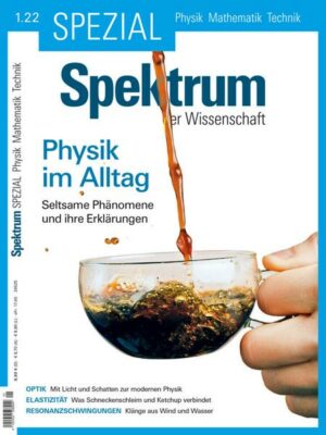 Spektrum Spezial - Physik im Alltag