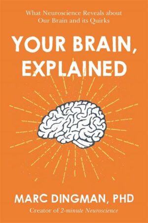 Your Brain