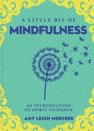 A Little Bit of Mindfulness: An Introduction to Being Presentvolume 13