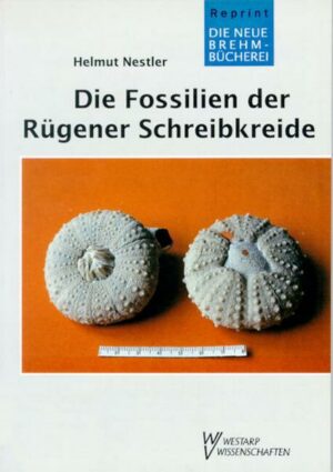 Die Fossilien der Rügener Schreibkreide