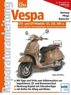 Vespa GTS- und GTV-Modelle 125