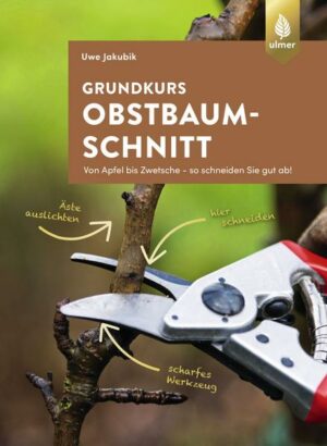 Grundkurs Obstbaumschnitt