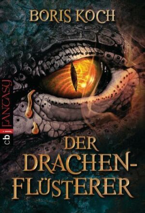 Der Drachenflüsterer Bd.1