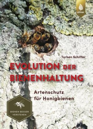 Evolution der Bienenhaltung