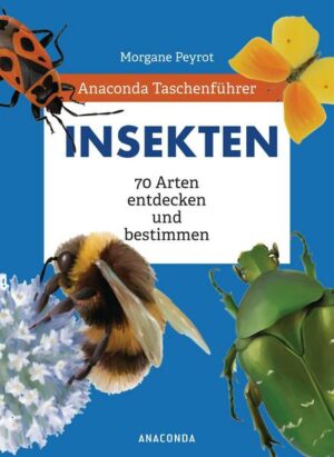 Anaconda Taschenführer Insekten. 70 Arten entdecken und bestimmen