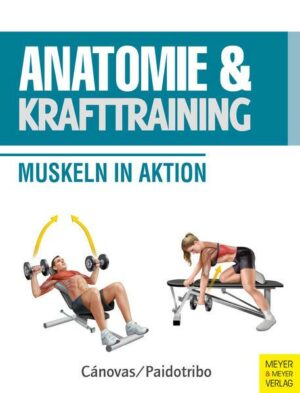 Anatomie und Krafttraining (Anatomie & Sport