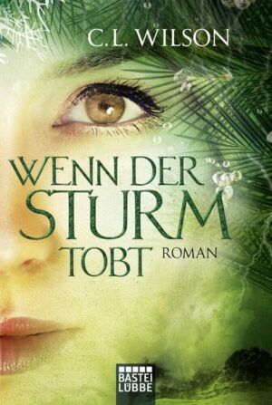 Wenn der Sturm tobt / Mystral Bd. 4