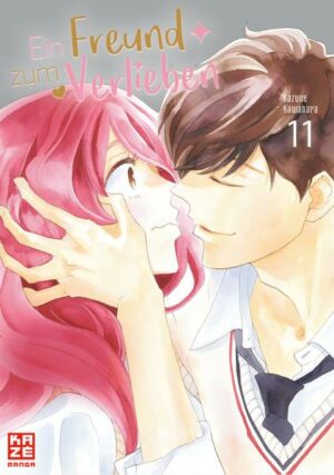 Ein Freund zum Verlieben – Band 11