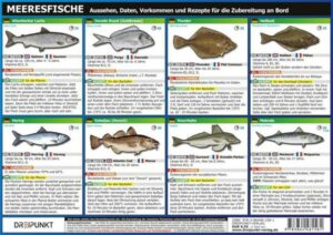 Info-Tafel-Set Meeresfische