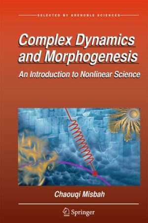 Complex Dynamics and Morphogenesis