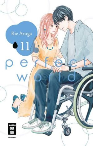 Perfect World 11