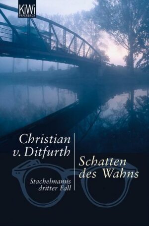 Schatten des Wahns / Stachelmann Bd.3