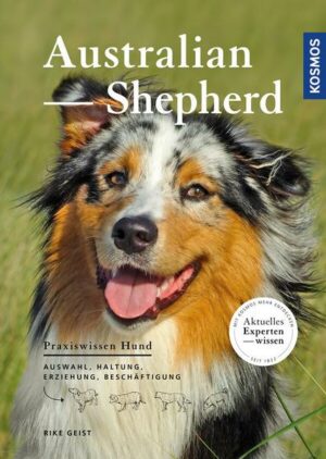 Australian Shepherd