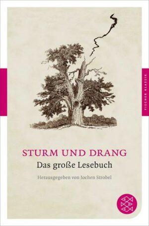 Sturm und Drang