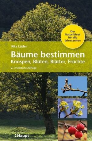 Bäume bestimmen - Knospen