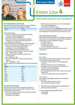 Green Line 4. Auf einen Blick. G8. Klasse 8. Grammatik passend zum Schulbuch - Klappkarte (6 Seiten)