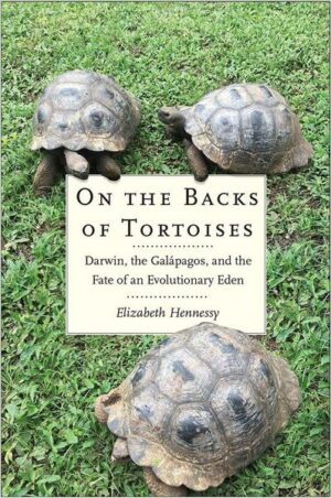 On the Backs of Tortoises