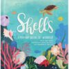 Shells: A Pop-Up Book of Wonder