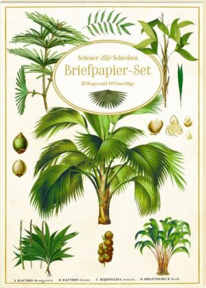 Briefpapier-Set