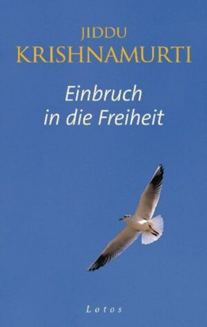 Einbruch in die Freiheit