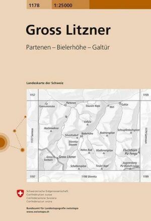 Swisstopo 1 : 25 000 Gross Litzner