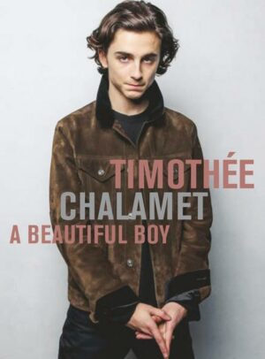 Timothee Chalamet A Beautiful Boy