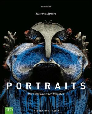 Portraits – Die Schönheit der Insekten