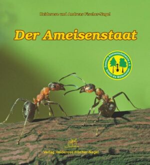 Der Ameisenstaat
