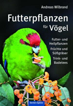 Futterpflanzen für Vögel