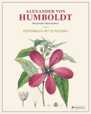 Alexander von Humboldt: Botanische Illustrationen. Posterbuch mit 22 Postern