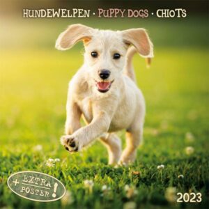 Puppy Dogs/Hundewelpen 2023