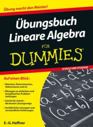 Übungsbuch Lineare Algebra für Dummies