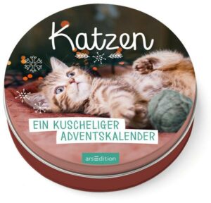 Adventskalender in der Dose. Katzen