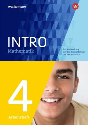 INTRO Mathematik SI. Arbeitsheft 4