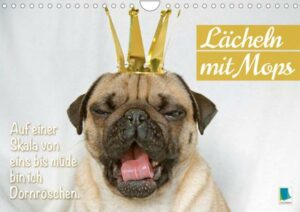 Lächeln mit Mops (Wandkalender 2023 DIN A4 quer)