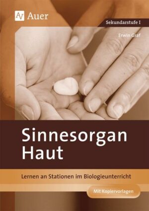 Sinnesorgan Haut