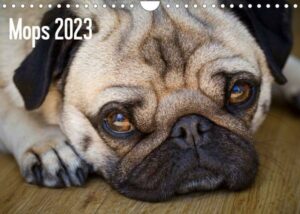 Mops 2023 (Wandkalender 2023 DIN A4 quer)