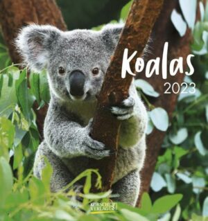 Koalas 2023