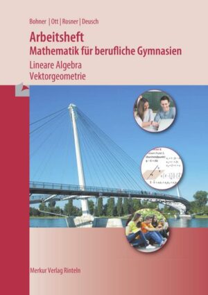 Mathematik für berufliche Gymnasien. Arbeitsheft