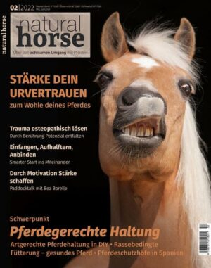 Natural Horse 39