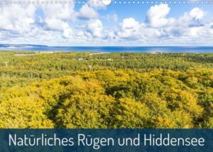 Natürliches Rügen und Hiddensee (Wandkalender 2023 DIN A3 quer)