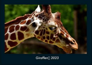 Giraffen 2023 Fotokalender DIN A4