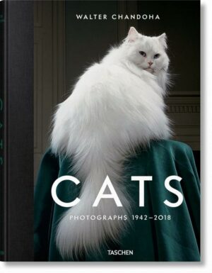 Walter Chandoha. Cats. Photographs 1942–2018