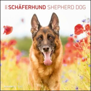 Schäferhunde 2023 - Broschürenkalender 30x30 cm (30x60 geöffnet) - Kalender mit Platz für Notizen - Hunde - Bildkalender - Wandplaner - Hundekalender