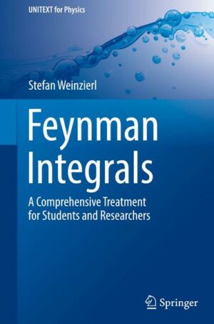 Feynman Integrals