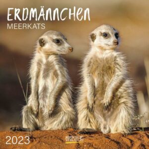 Erdmännchen 2023